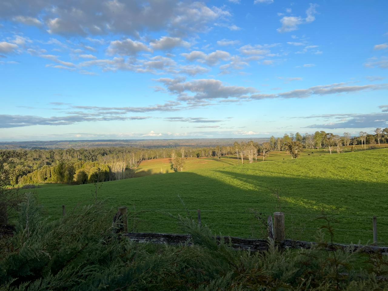 11 200 000 000 12 Fundo Región de Los Lagos