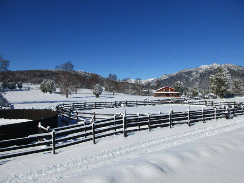 Región de La Araucanía: ¡Magnífico fundo de 250 hectáreas!