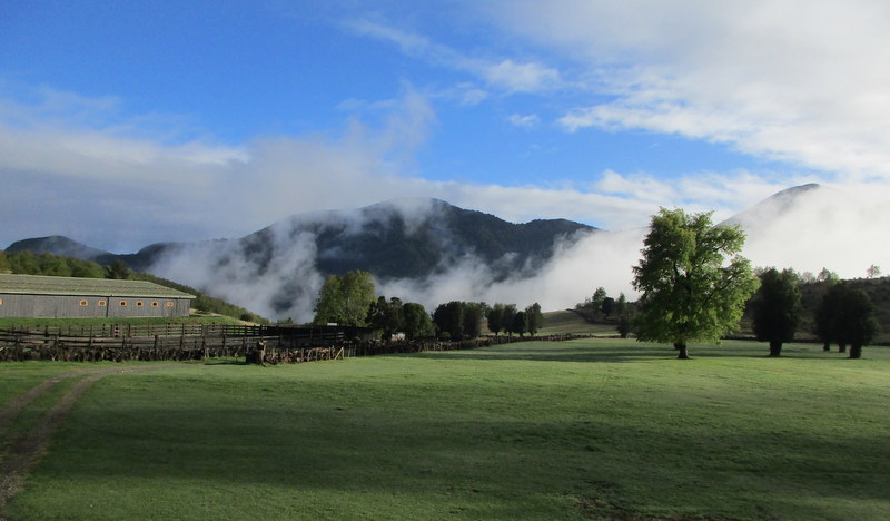 3 850 000 000 Araucania 22 Fundo Región de La Araucanía