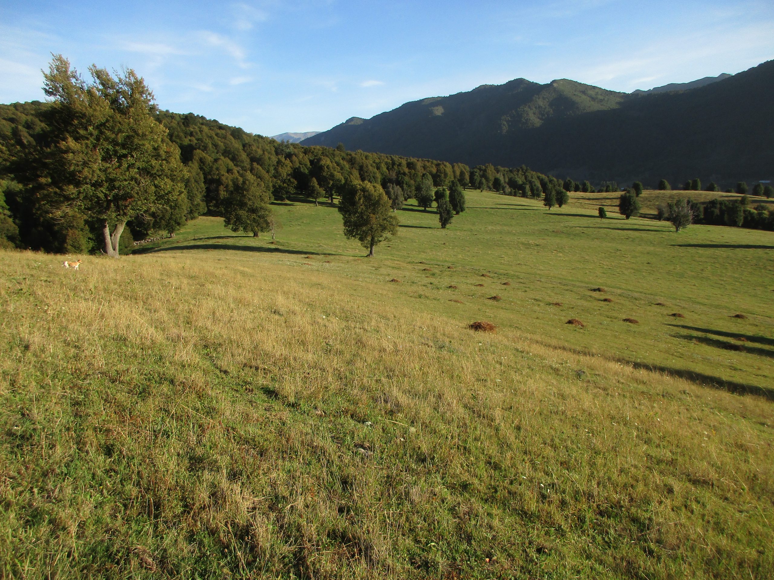 3 850 000 000 Araucania 23 Fundo Región de La Araucanía