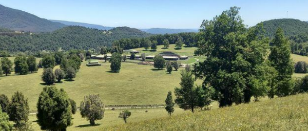 3 850 000 000 Araucania 25 Fundo Región de La Araucanía