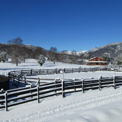 Región de La Araucanía: ¡Magnífico fundo de 250 hectáreas!