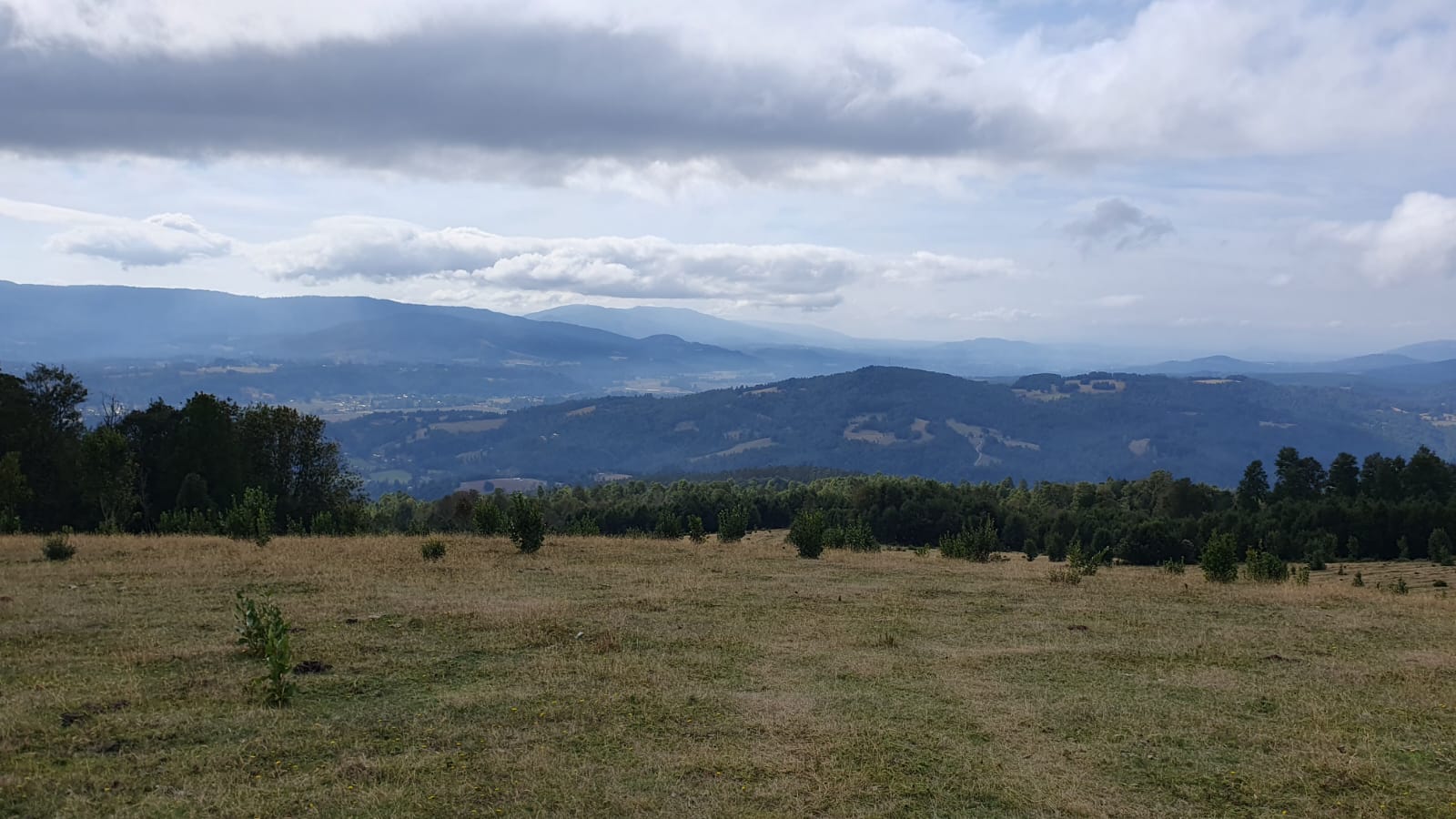 ¡Tres hectáreas a $45.000.000.- en la Región de Los Ríos!